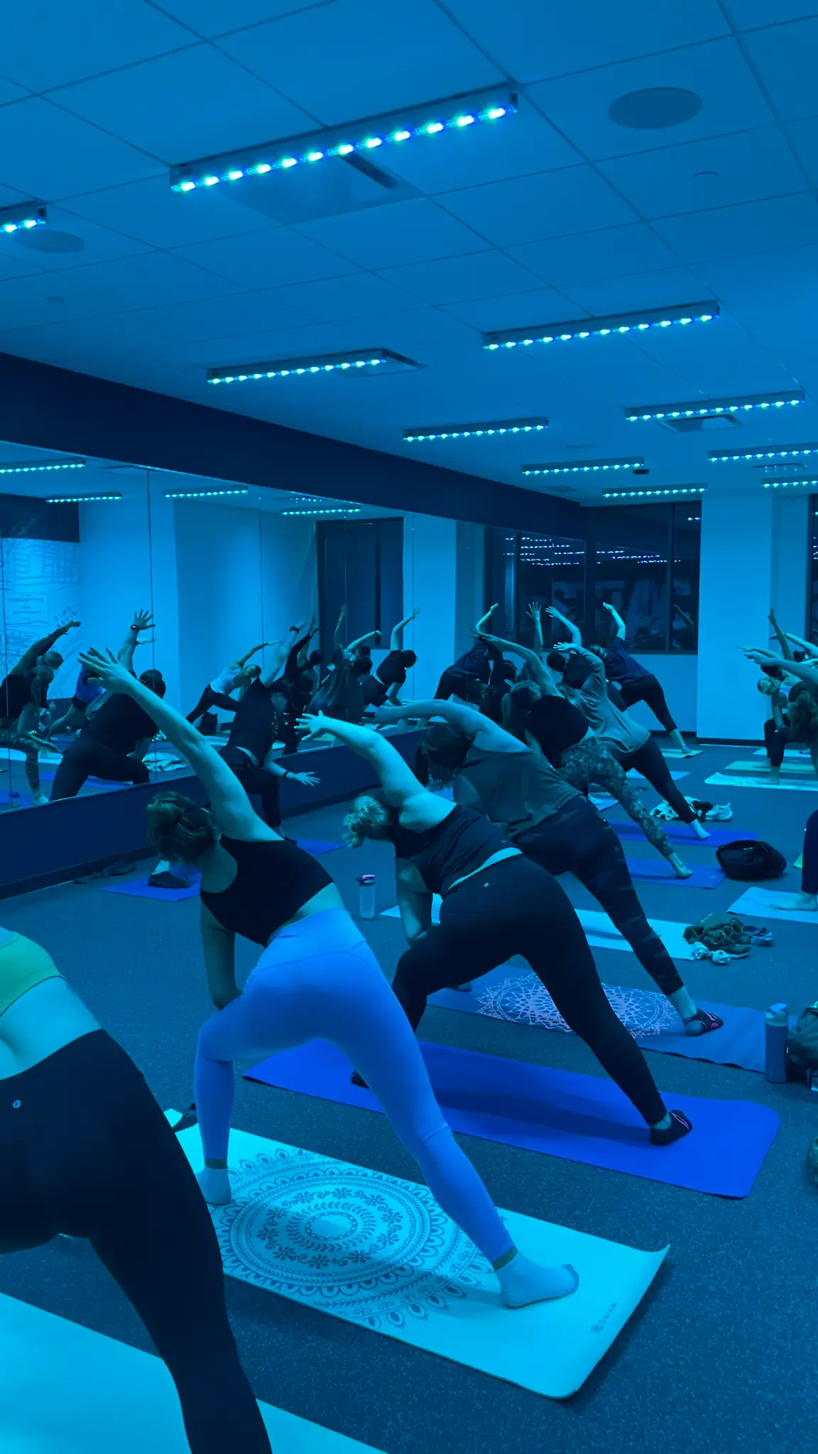 Women's fitness coaching